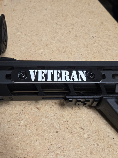 AR Railcover in Black and White  (Original)