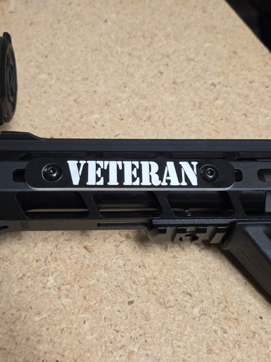 AR Railcover in Black and White  (Original)