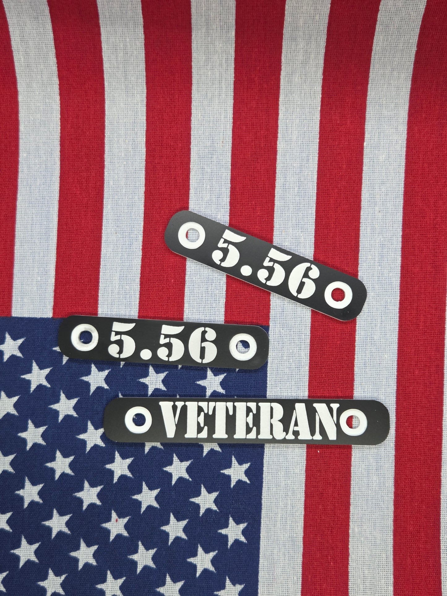 AR Railcover in Black and White  (Original)